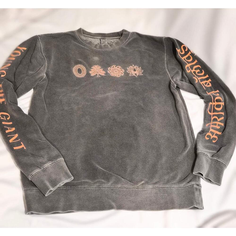 Young The‎ Giant American Bollywood Tour Pullover Sweatshirt Mineral Wash S
